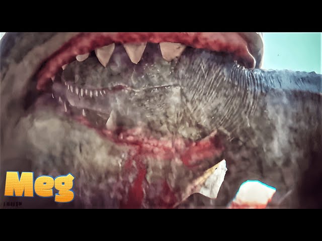 Meg: The Trench (2023) Movie Explained in Hindi/Urdu | Megalodon Killing Summarized हिन्दी