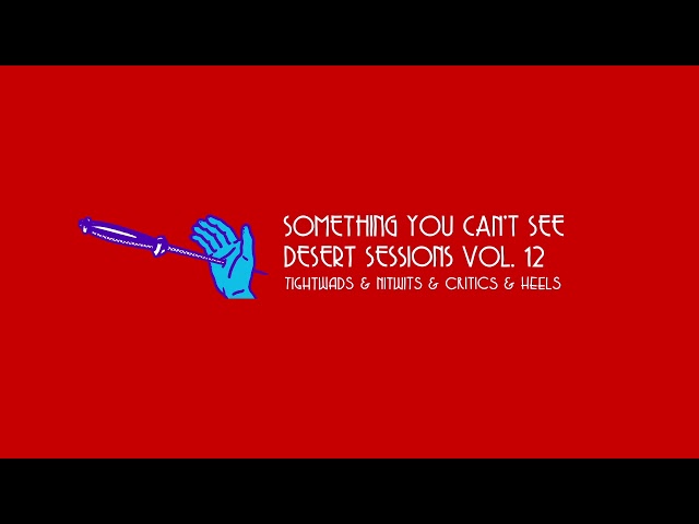 Something You Can't See (Audio) - Desert Sessions Vol. 12