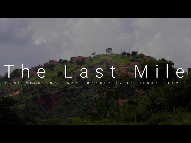 The Last Mile: Exclusion and Food Insecurity in Brazil