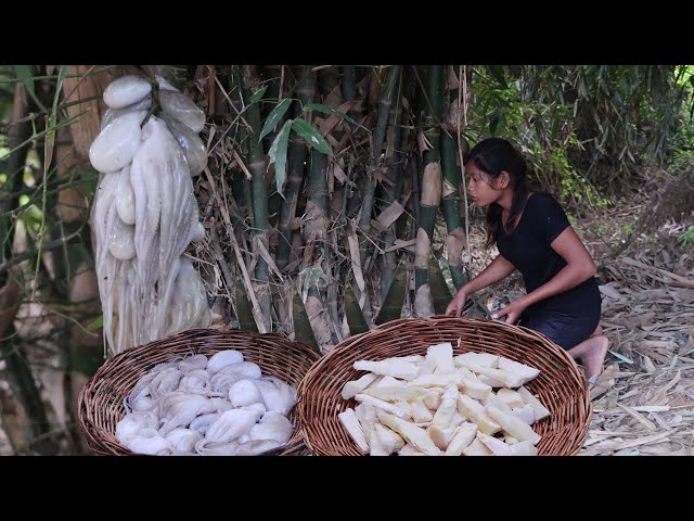 Survival cooking in forest - Octopus curry delicious with Bamboo shoot for dinner