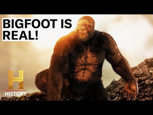 4 SHOCKING BIGFOOT SIGHTINGS | The Proof is Out There