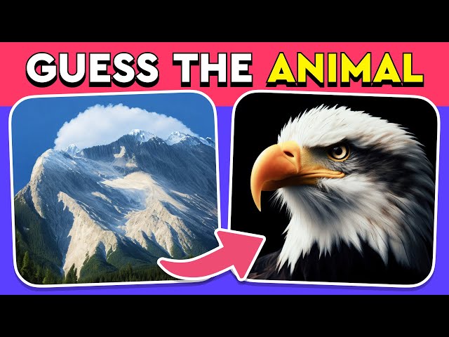 Guess the Hidden Animal by ILLUSION 🐶🐵🐈 Easy, Medium, Hard levels Quiz