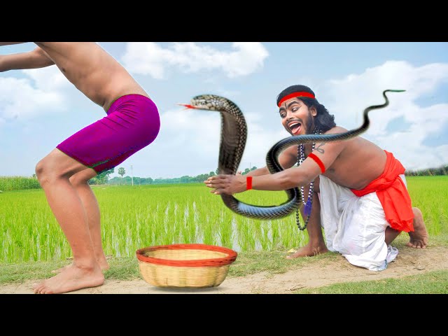 Top New Comedy Video Amazing Funny Video 😂Try To Not Laugh Episode 256 By Busy Fun Family