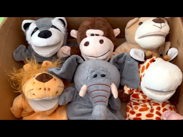 Toy Zoo Wild Animals 🦁  Fun Animal Toys For Kids