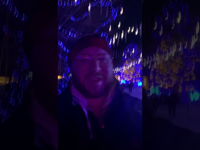 Winterfest Lights