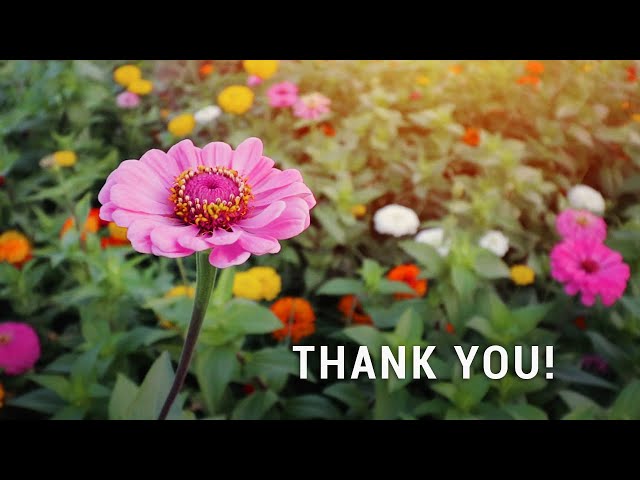 Canon EOS M / M6 Cinematic Sample Footage - Thank You For 1k Subscribers!