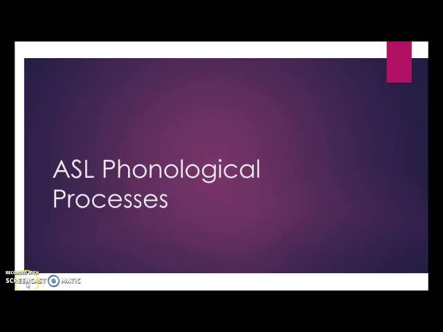 #9 ASL Phonological Processes