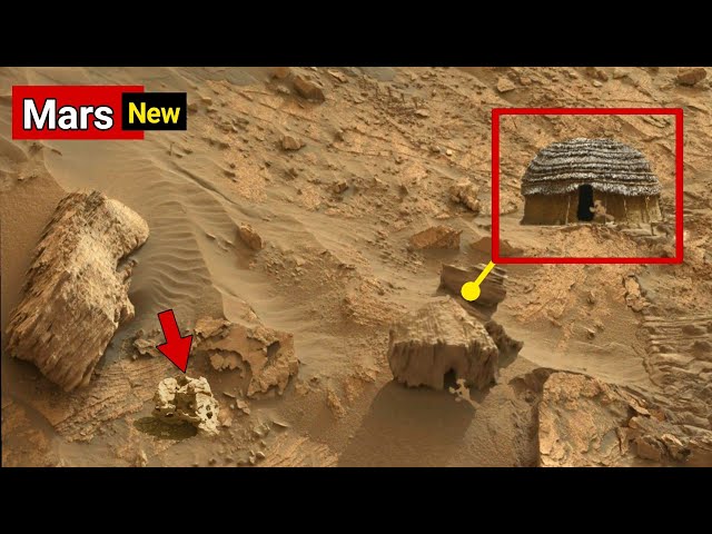 NASA Mars Perseverance Rover Detected Shocking Evidence of Life on Mars | Mars Live Images