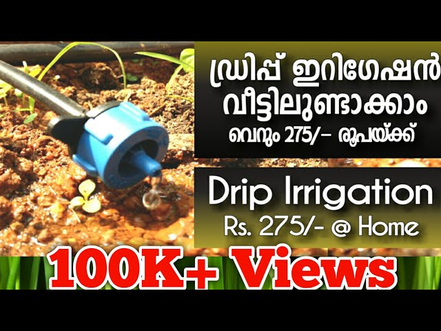 Make a Drip Irrigation System - simply at home ഡ്രിപ്പ് ഇറിഗേഷൻ വീട്ടിലുണ്ടാക്കാം.