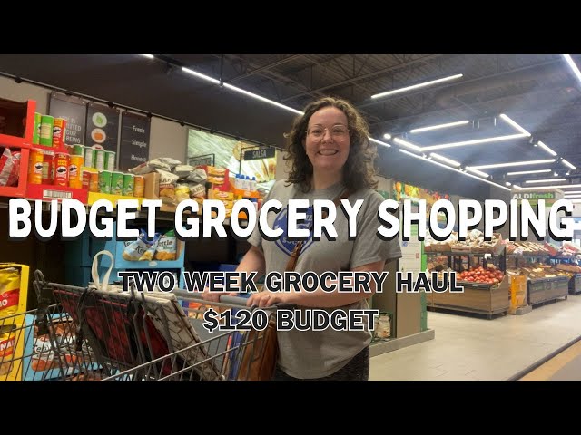 Vlog #230| Shopping For Groceries On A Budget! Multiple Store Grocery Haul! $120 Budget!