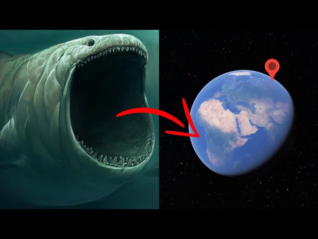 Sea Monsters: Bloop, Megalodon, Blue Whale, Shark, Giant Squid In Real Life on Google Earth!