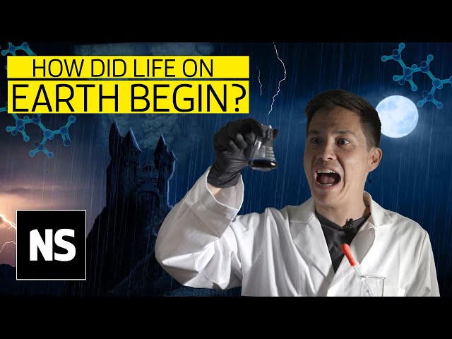 The search for the origin of life: From panspermia to primordial soup | Science with Sam