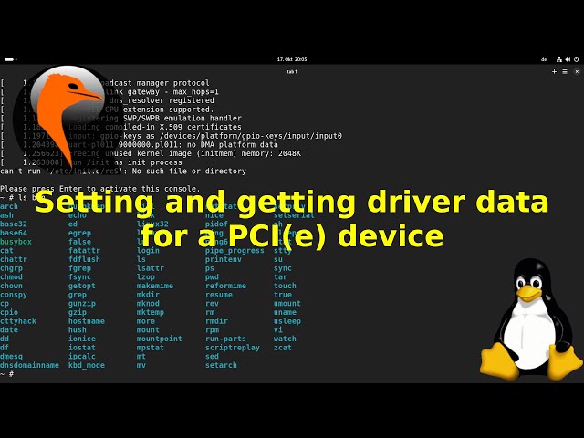 Setting and getting driver data for a PCI (Express) device in a Linux driver