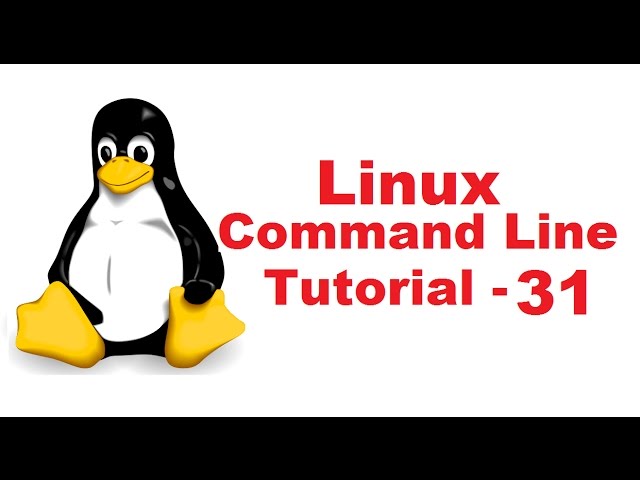 Linux Command Line Tutorial For Beginners 31 -  cal command