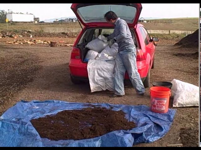 Best Way to Haul Half Cubic Yard of Compost in Your Car to Enrich Your Garden