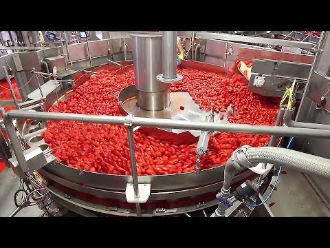 I've never seen a food factory like this before. Incredible food factories.