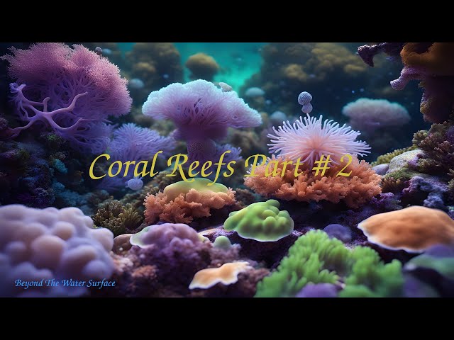 Coral Reefs Part # 2