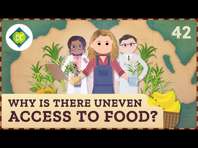 Why is There Uneven Access to Food? Crash Course Geography #42