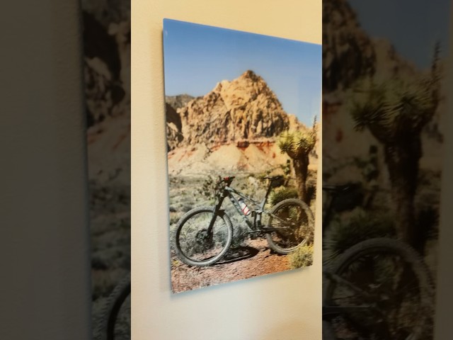 My Office Printed my Bike as wall art on Glass - Trek Fuel Ex