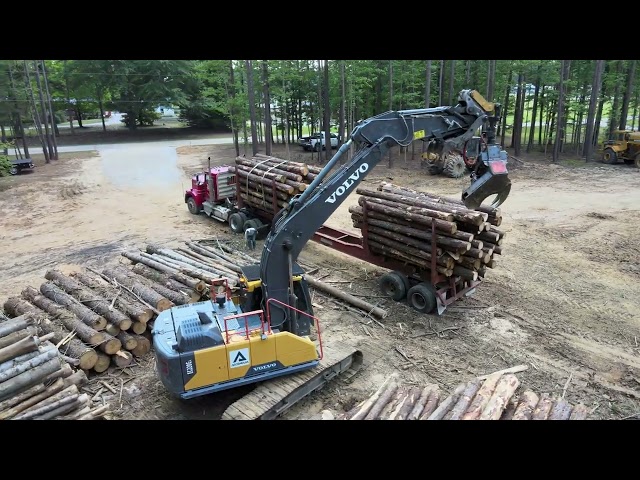 Pond Build Day 8: Work Grinds to a Halt