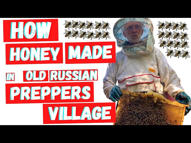 HOW IS HONEY MADE  | Stung By Bees In A Remote Russian Preppers Village!