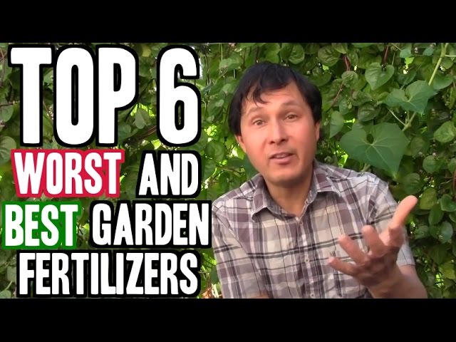 Top 6 Worst and 6 Best Garden Fertilizers