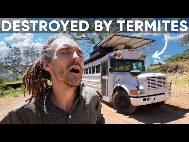 Everything I Built Got Destroyed By Termites // Costa Rica Renovations Episode 4