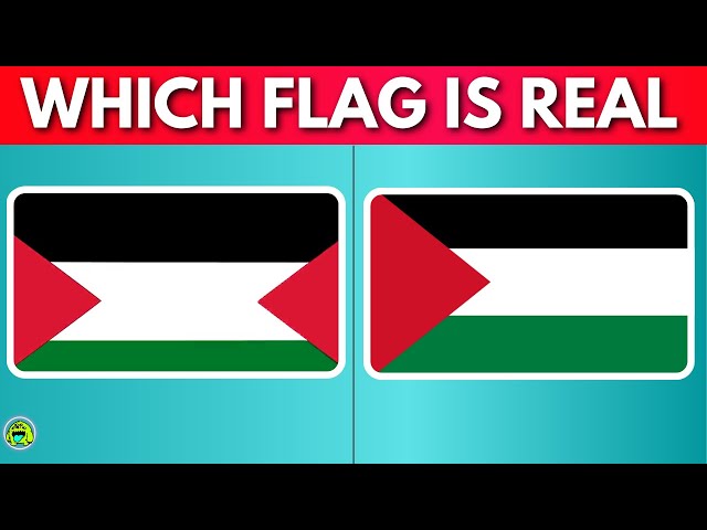 Guess The Correct Flag | Guess and Learn Flags From All Around The World
