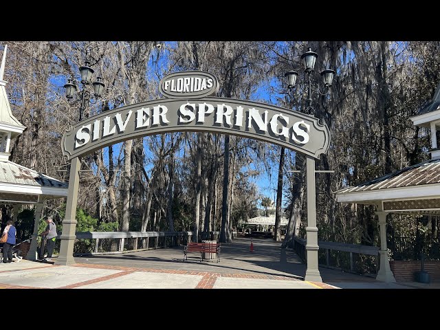 Searching for Wildlife at Silver Springs State Park in Ocala, Florida | Manatees & Cold Weather