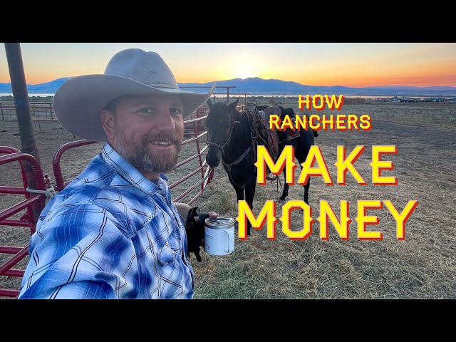 How Ranchers Make Money