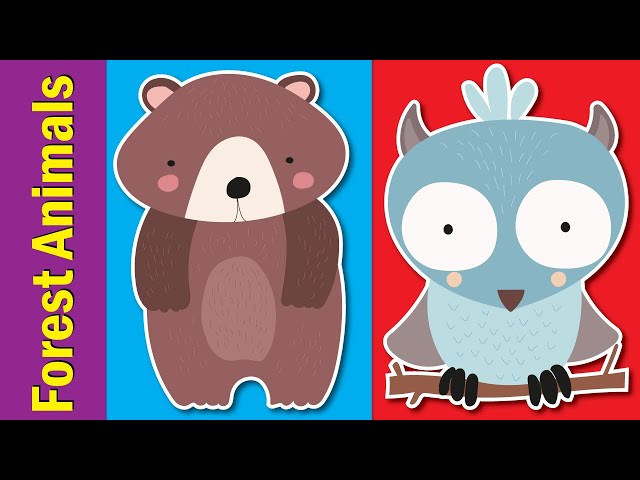Learn Forest Animals for Kids | Video Flashcards | Kindergarten, Preschool, ESL | Fun Kids English