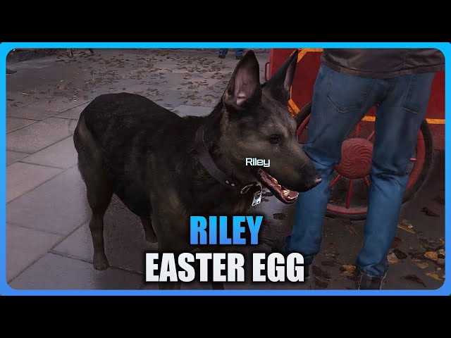 Modern Warfare 3 - Riley Easter Egg