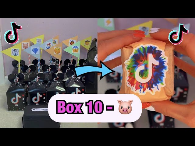 TikTok Mystery Boxes - BOX 10!!🐷 *asmr* #Shorts