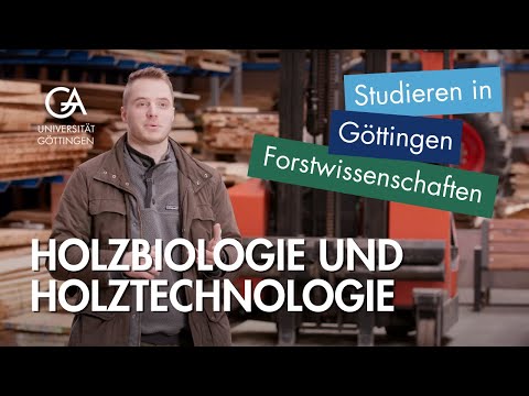 Forstwissenschaften und Waldökologie in Göttingen