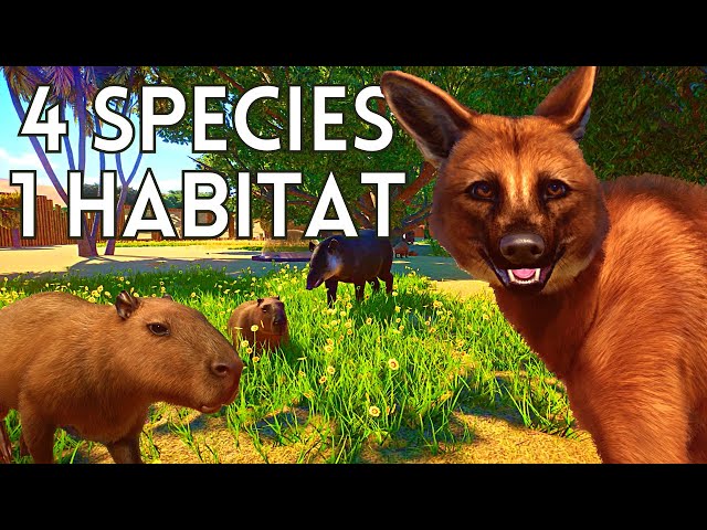 Will 4 South American Species Share their Habitat?