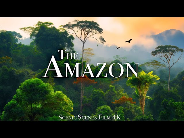 The Amazon 4K - Amazon Jungle and its Wild Animals | Rainforest Sounds | Scenic Relaxation Film