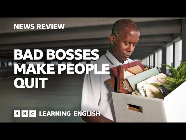 Bad bosses make people quit: BBC News Review