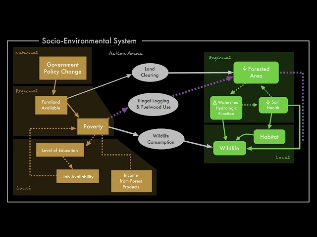 An example of a socio-environmental system in 3 minutes