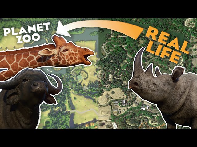 🦒 Is this the MOST Detailed RECREATION in Planet Zoo? | Beekse Bergen Recreation Tour