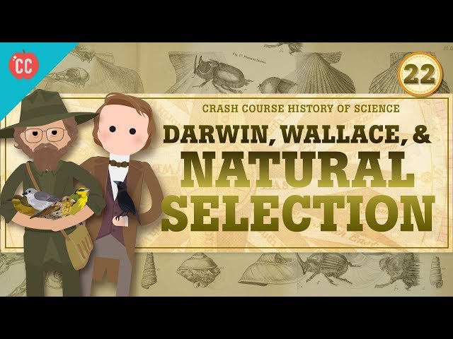 Darwin and Natural Selection: Crash Course History of Science #22