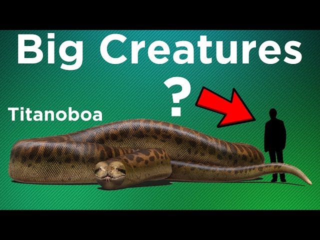 How Big Can Animals Get?