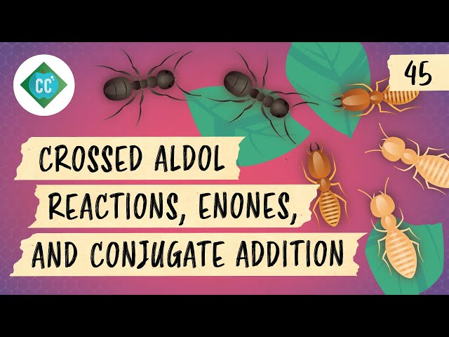 Crossed Aldol Reactions, Enones, and Conjugate Addition: Crash Course Organic Chemistry #45