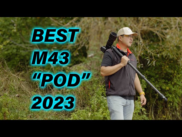 3 Legged Thing Alana, THE BEST Travelling 'POD' for M43 - RED35 Review