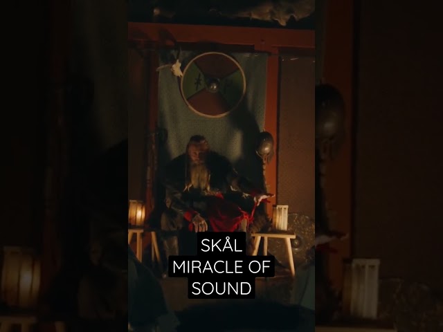 SKÅL by Miracle Of Sound