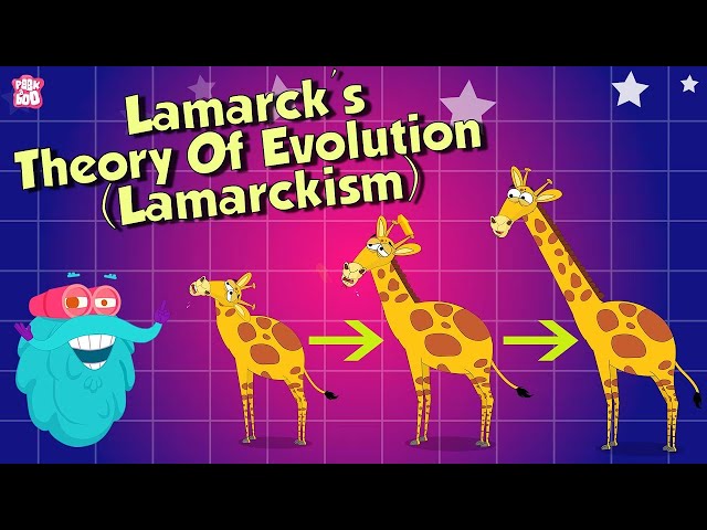 Why Does Giraffe Have a Long Neck? | Theory Of Evolution | The Dr Binocs Show | Peekaboo Kidz
