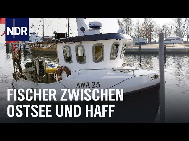 Zwischen Ostsee und Haff - Vom Überlebenskampf der letzten Fischer | Die Nordreportage | NDR