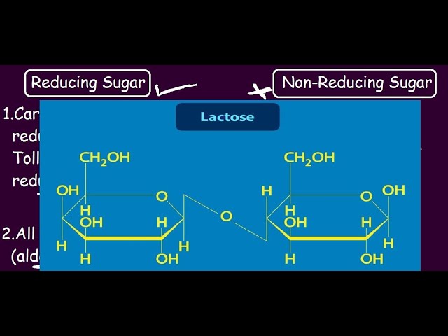 Reducing Vs Non Reducing Sugar | Lactose & Maltose is a Reducing Sugar, Sucrose is not!!  Why??