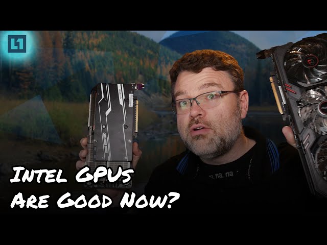How Are Intel GPUs in 2024? Games, Drivers, and MORE!