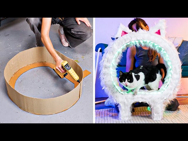 🐾 Tail-Wagging DIY Fun for Pets and Their Humans!