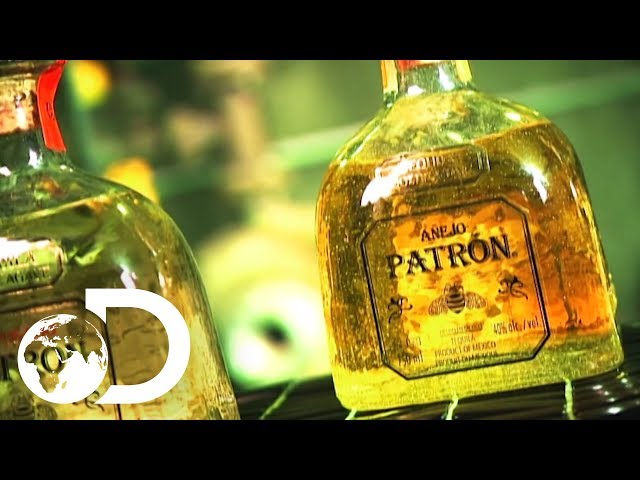 TEQUILA | How It's Made